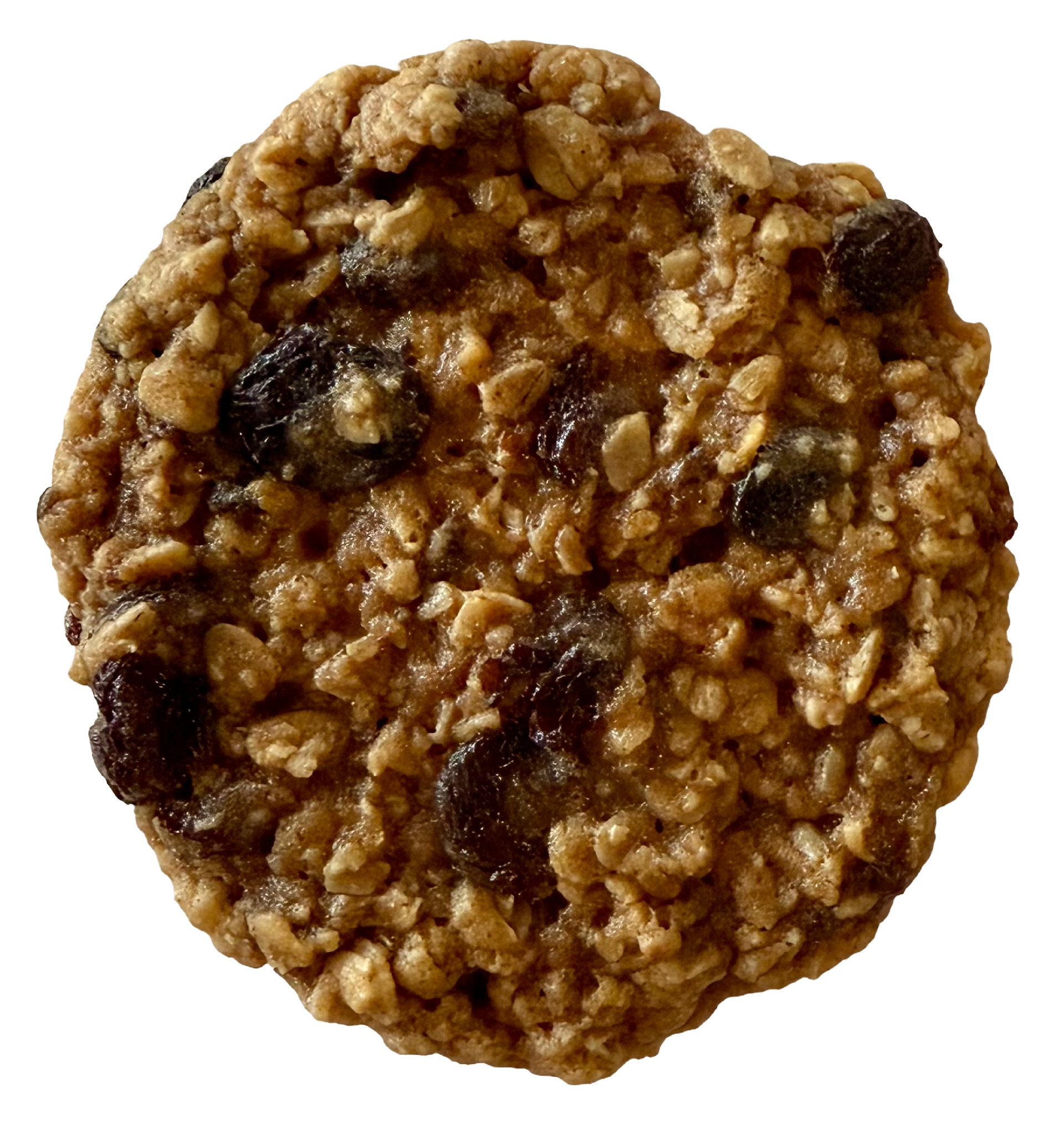 Oatmeal raisin cookie, close-up. Brown cookie with oats and dark raisins, circular shape.