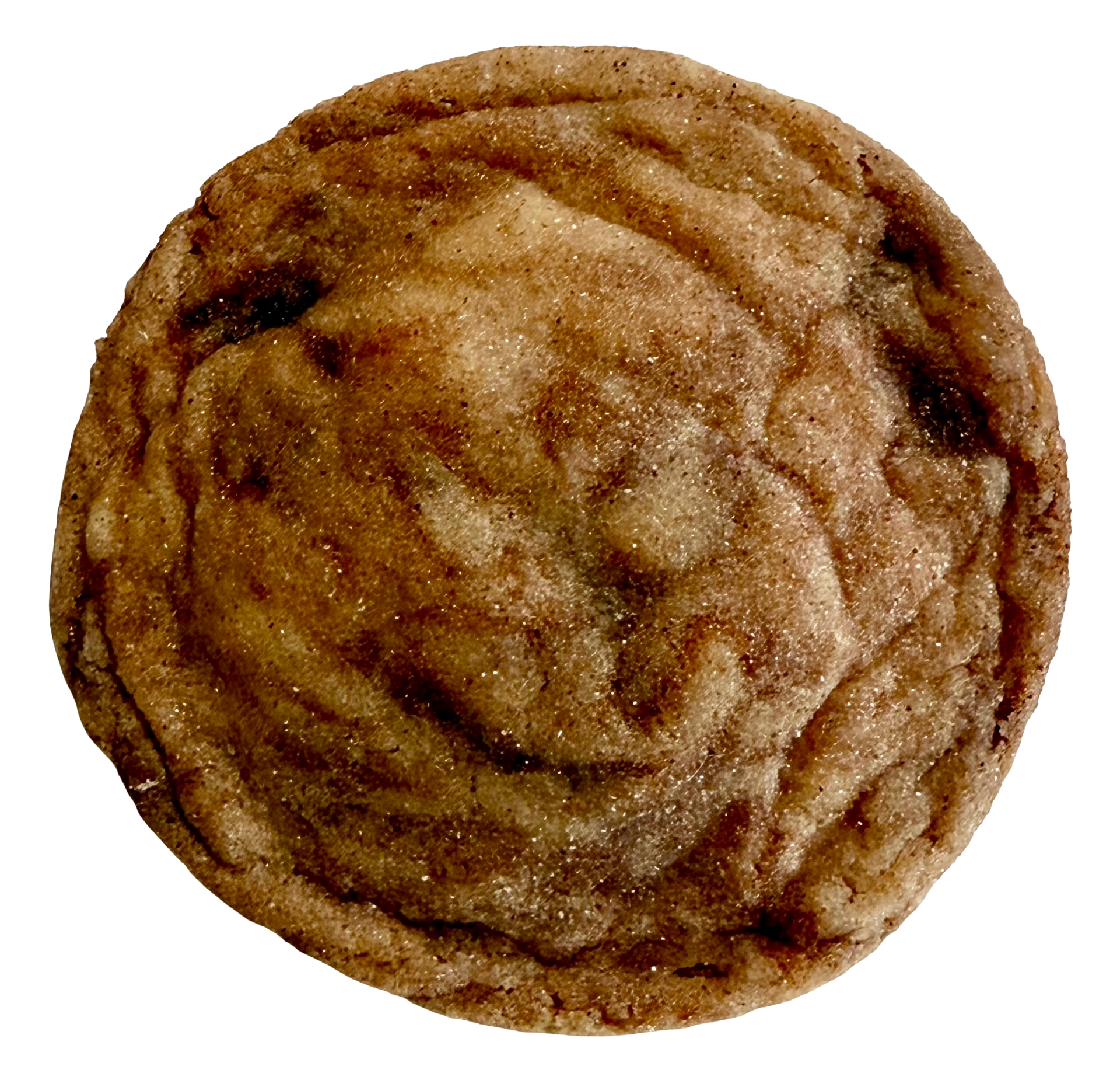 Close-up of a round, golden-brown cookie with a textured surface and visible sugar crystals.