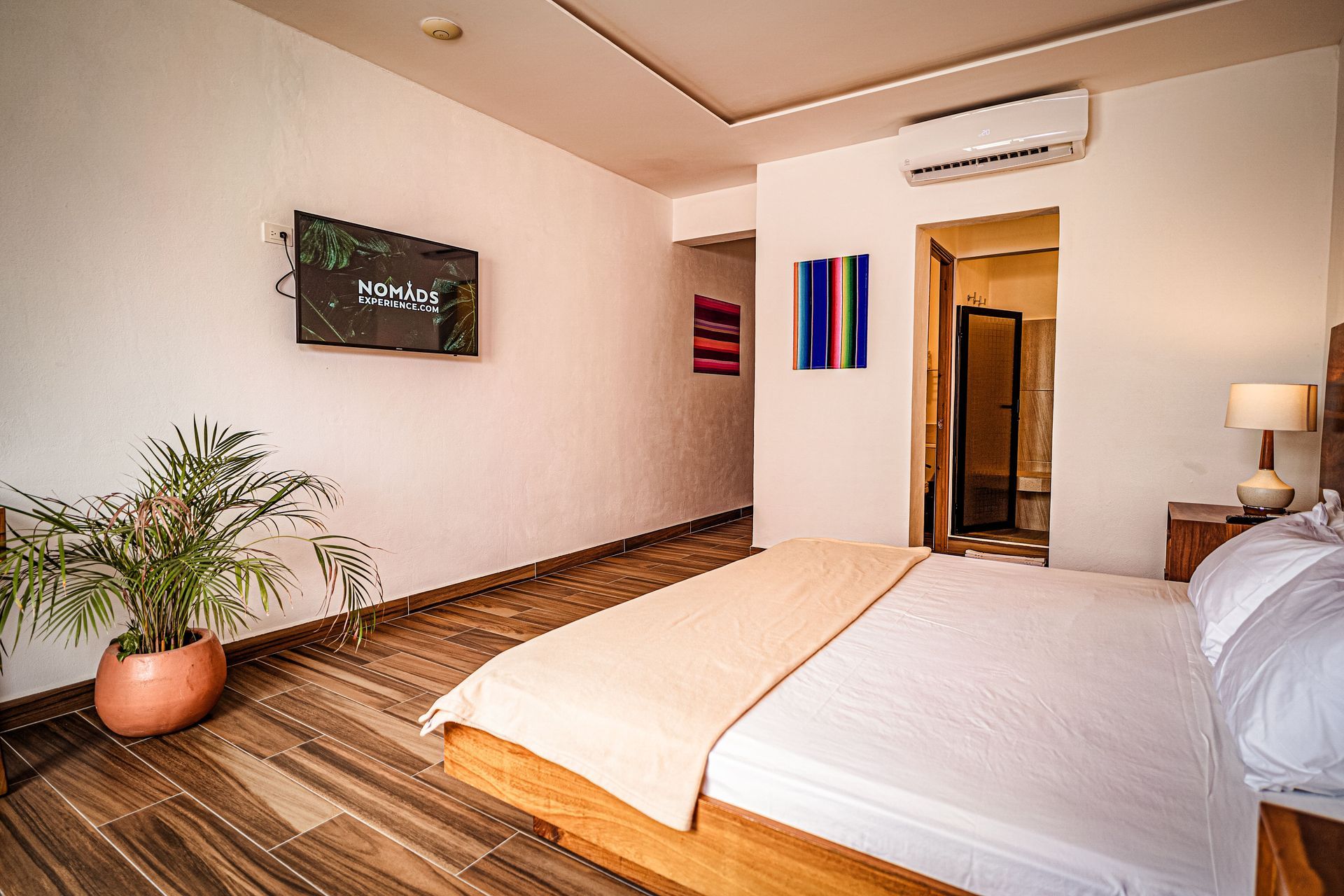 A bedroom with a king size bed , a television , and a potted plant.