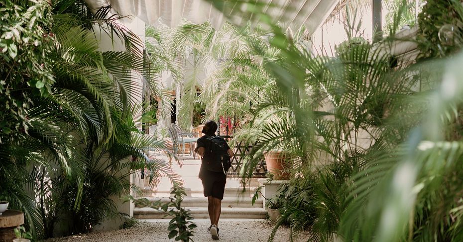 A woman is walking through a lush green garden.