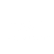 A white background with a few lines on it