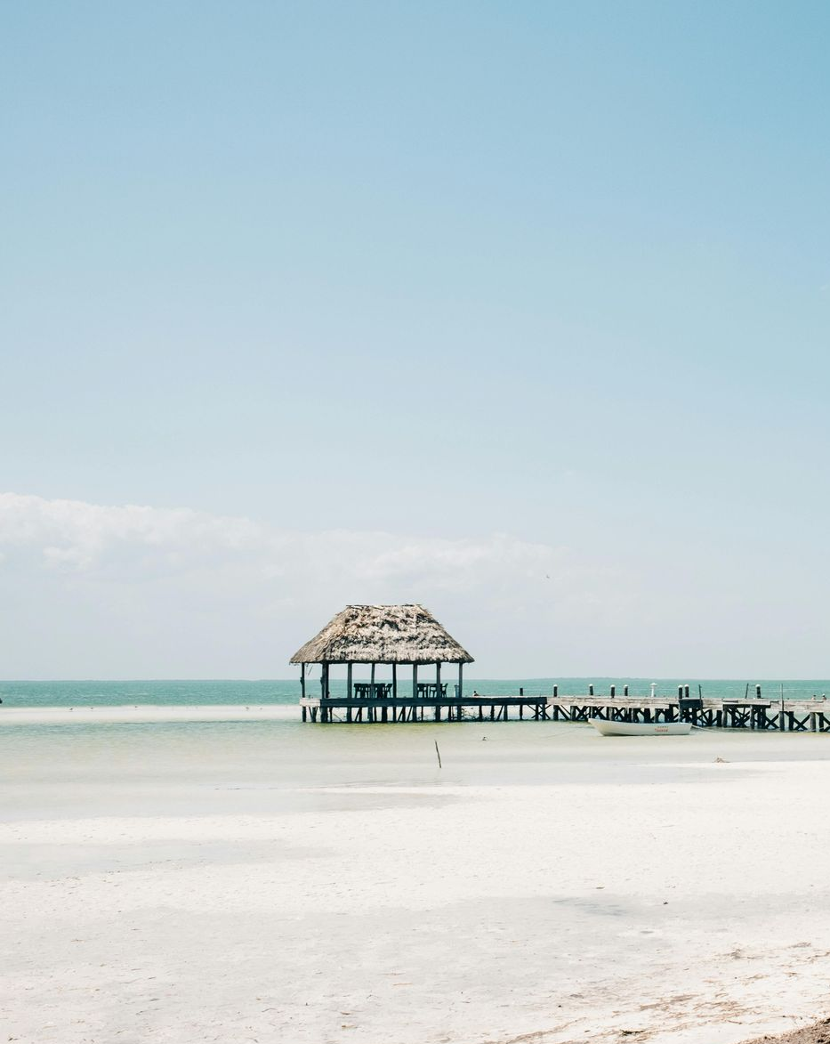 A scuba diver is giving the ok sign in the ocean.