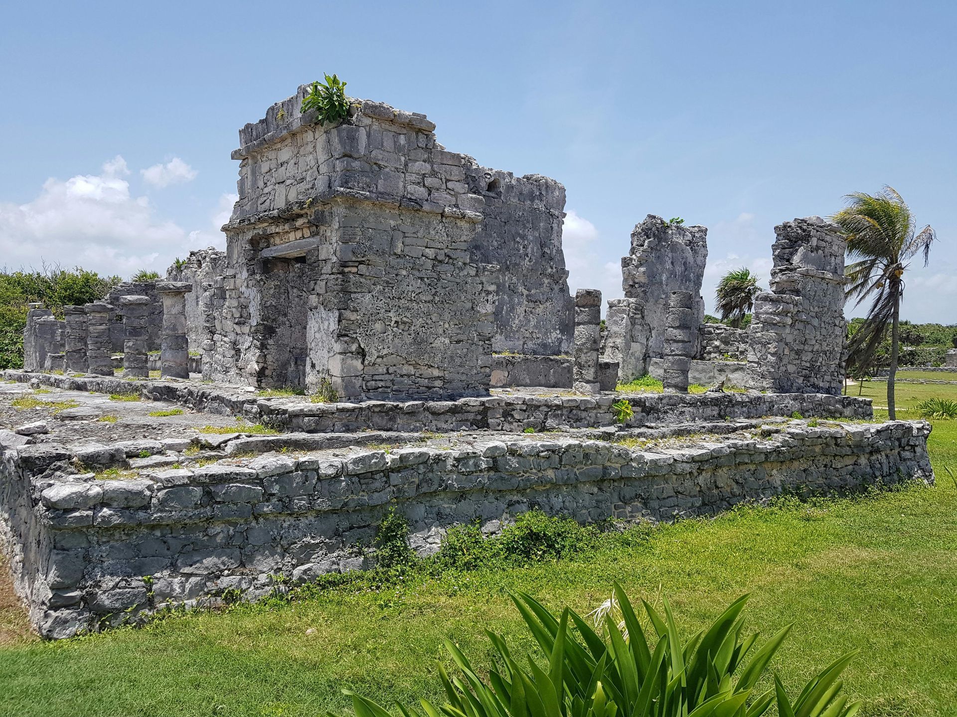 Stone ruins of Mayan structures against a blue sky, on a grassy plain.