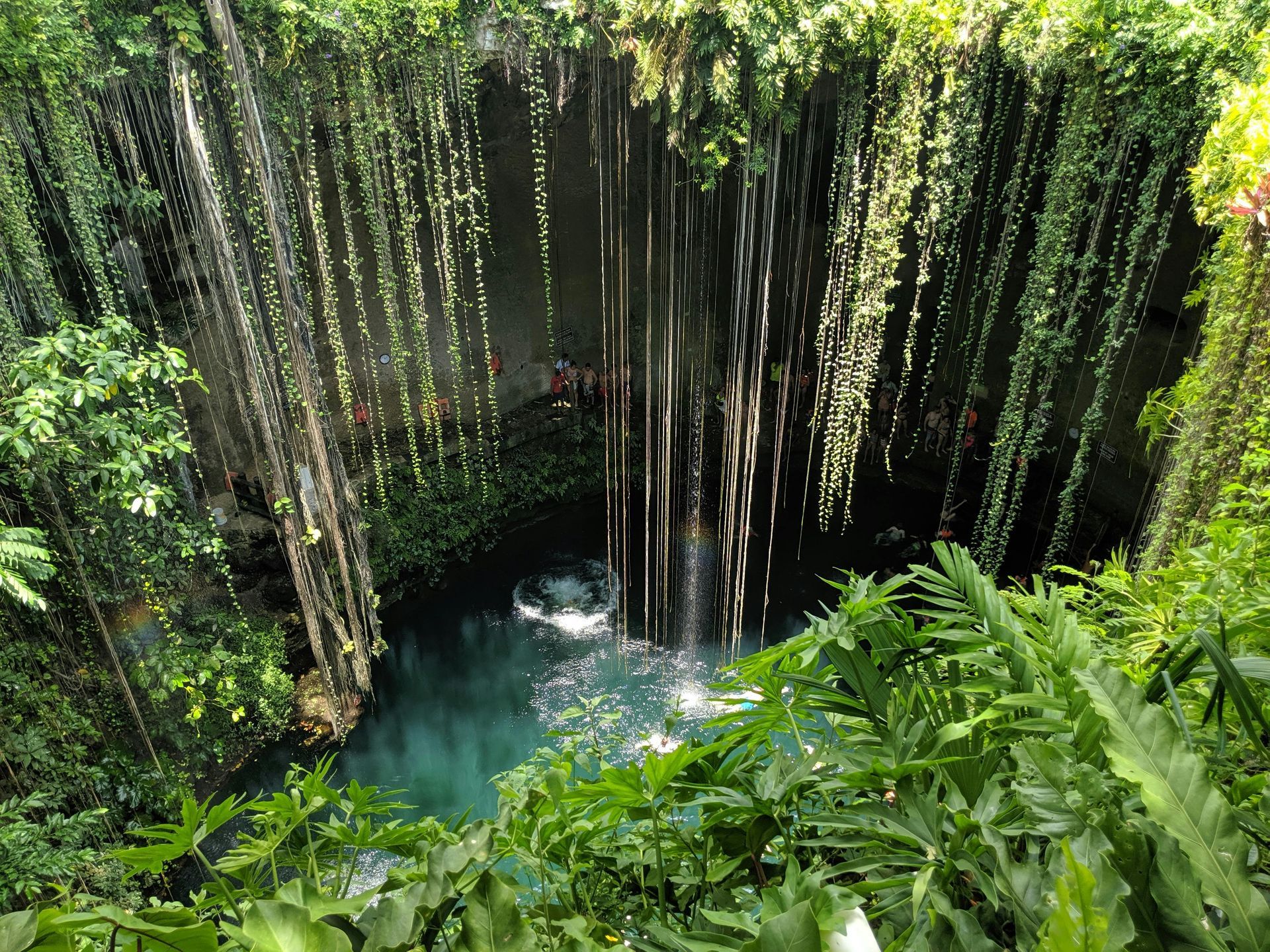 Overhead view of a cenote with vibrant green foliage surrounding the turquoise water, sunlight shining through.