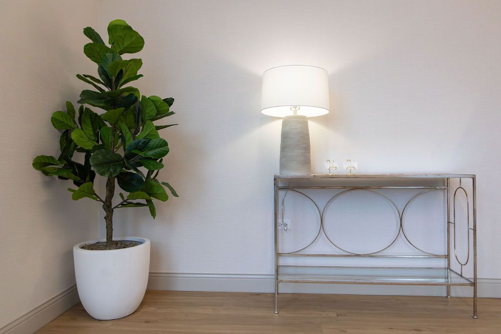 Fiddle-leaf fig plant beside a console table with a lamp; neutral wall backdrop, wood floor.