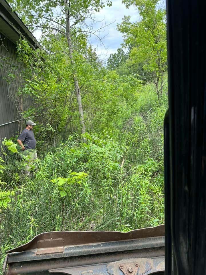 A man is standing in the middle of a lush green field.