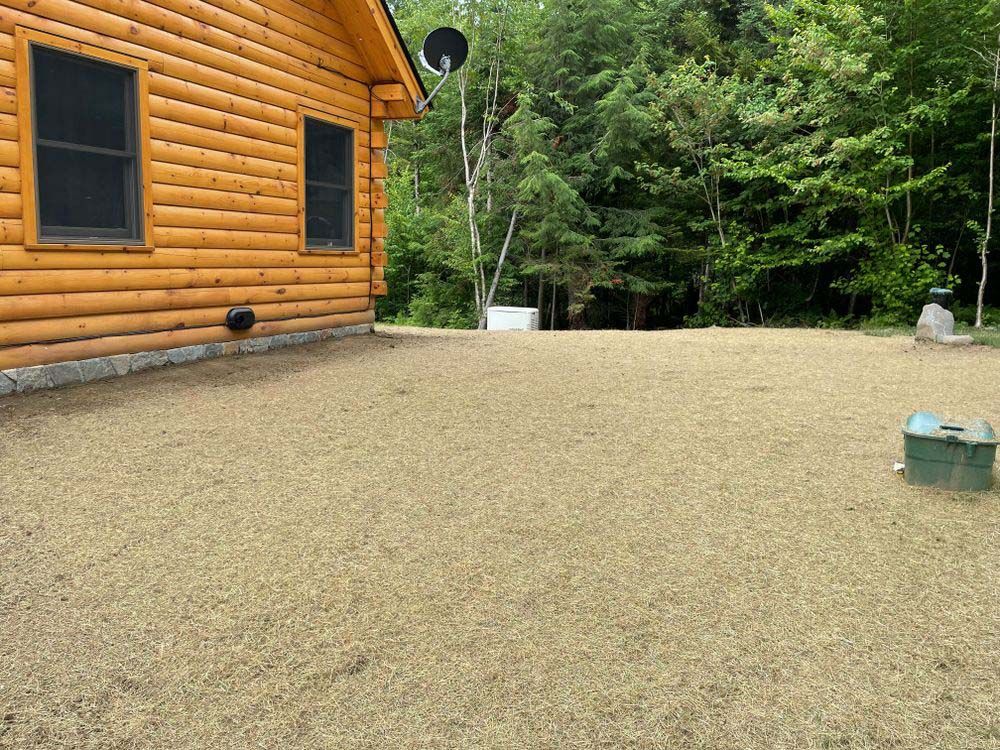 A log cabin is sitting in the middle of a lush green forest.