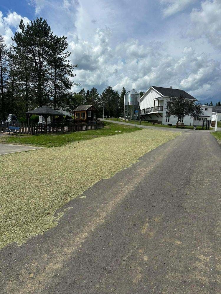 A road leading to a house with a lot of grass on the side of it.