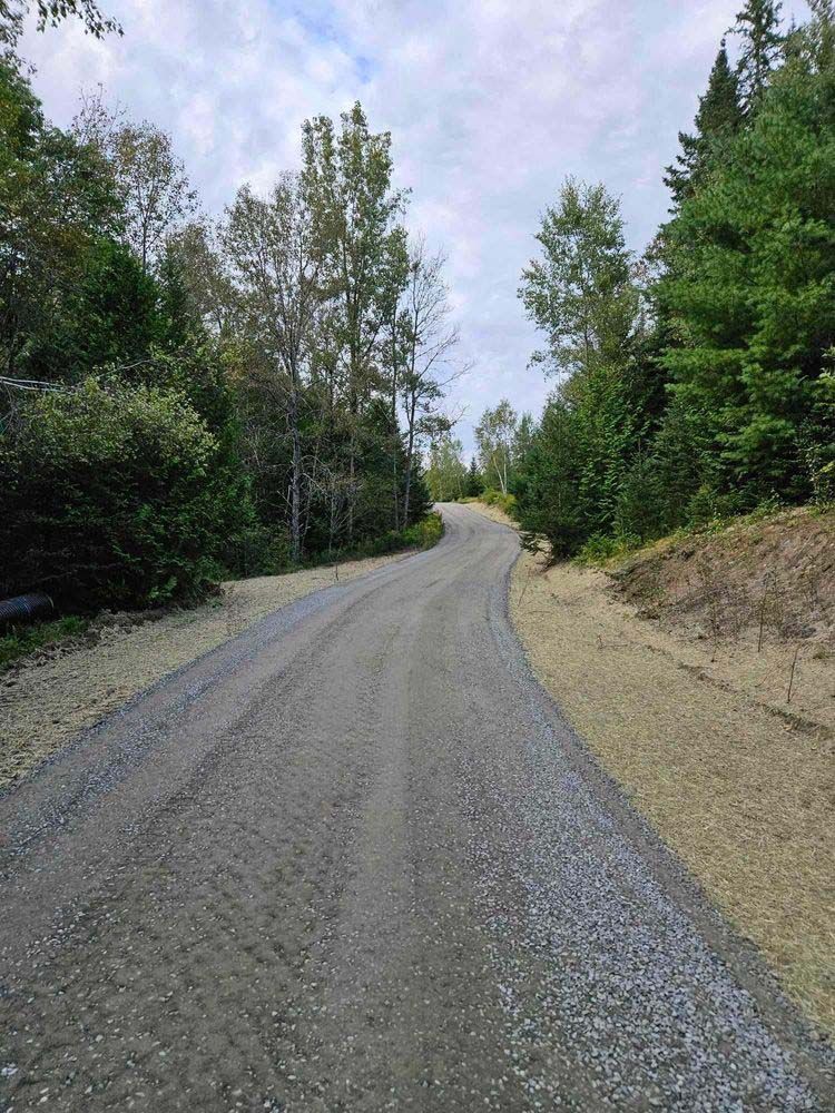 A dirt road going through a forest with trees on both sides.