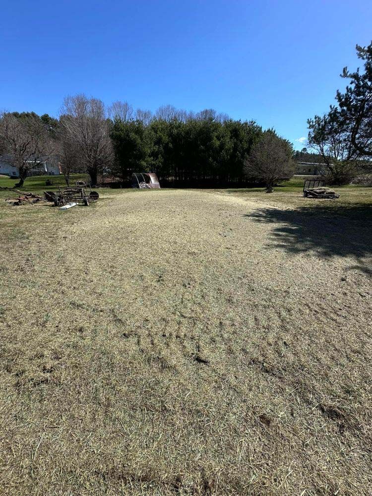 A large empty field with trees in the background on a sunny day.