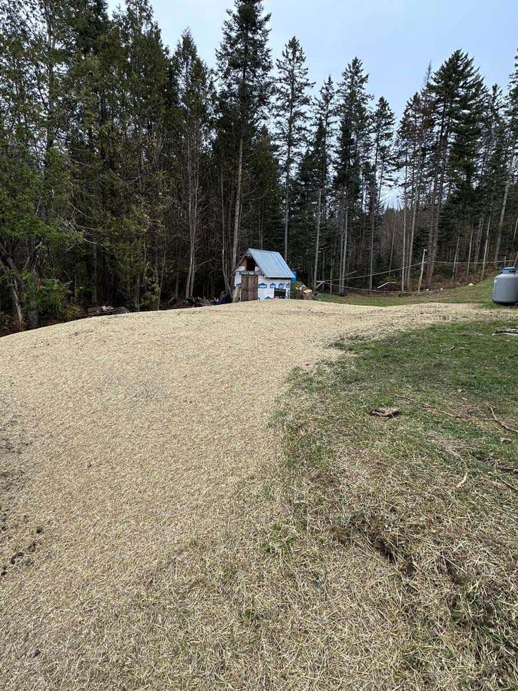 A dirt road leading to a house in the woods.