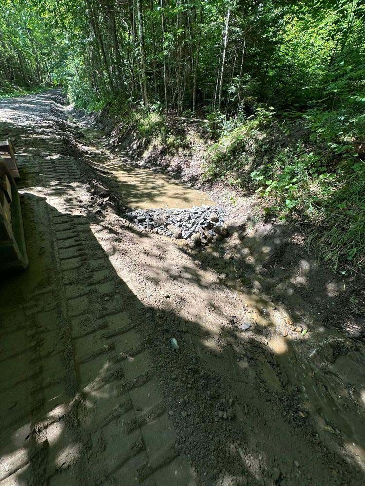 A truck is driving down a dirt road in the woods.
