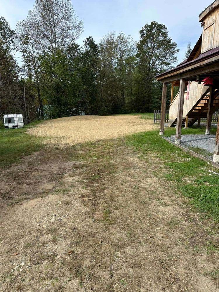 A dirt road leading to a house with a porch and stairs.