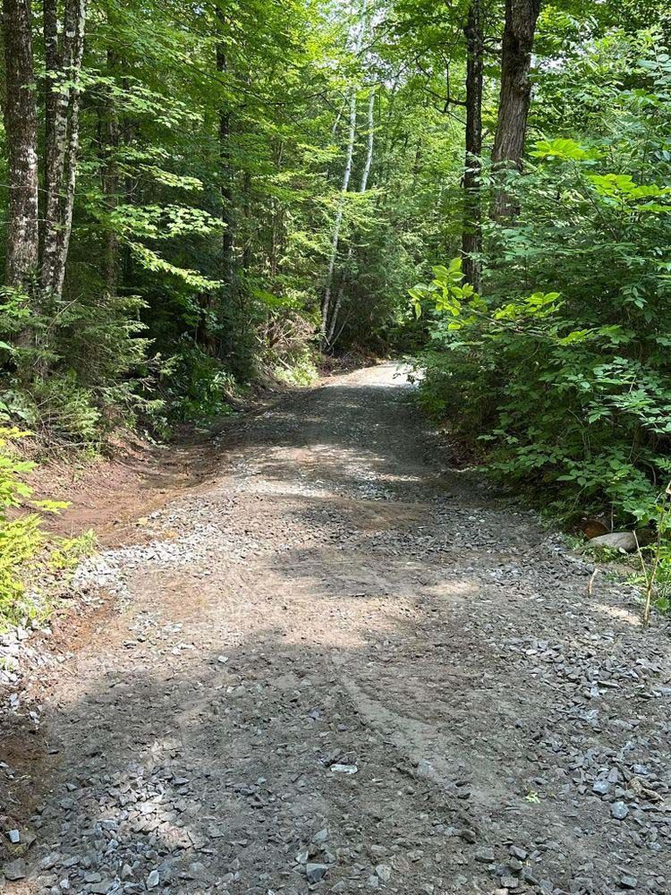 A dirt road in the middle of a forest surrounded by trees.