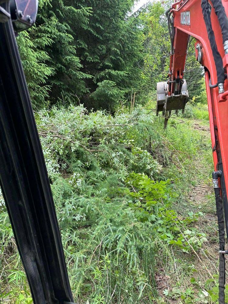 A red excavator is digging a hole in the middle of a forest.