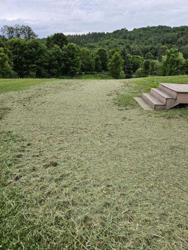 A large grassy field with stairs in the middle of it.