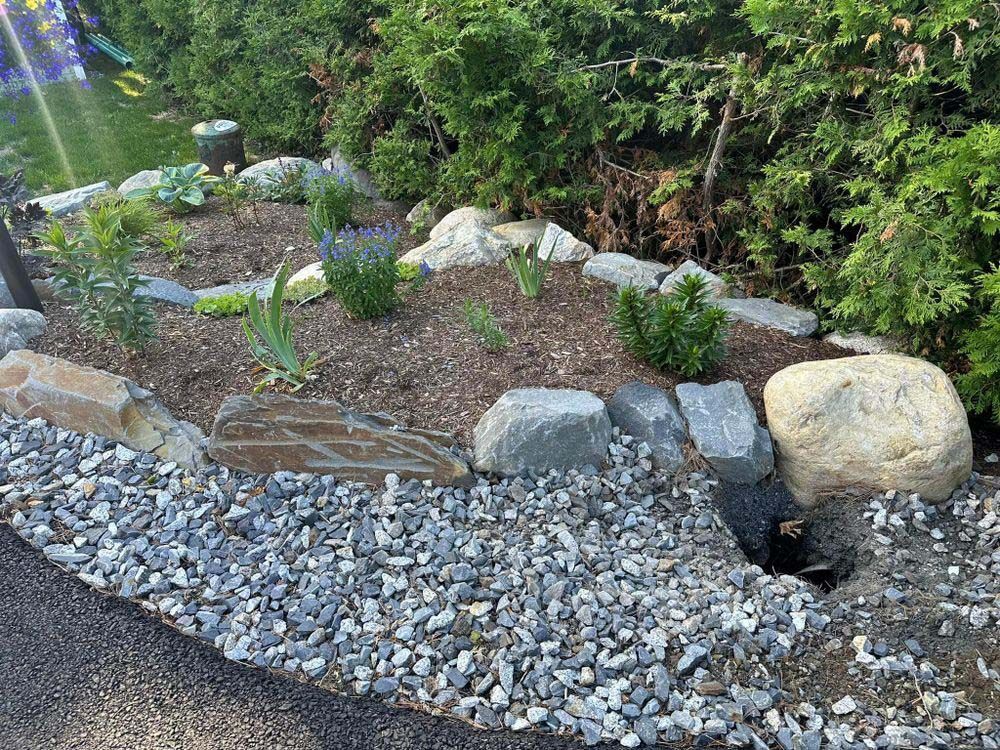A garden filled with rocks and plants is surrounded by trees.