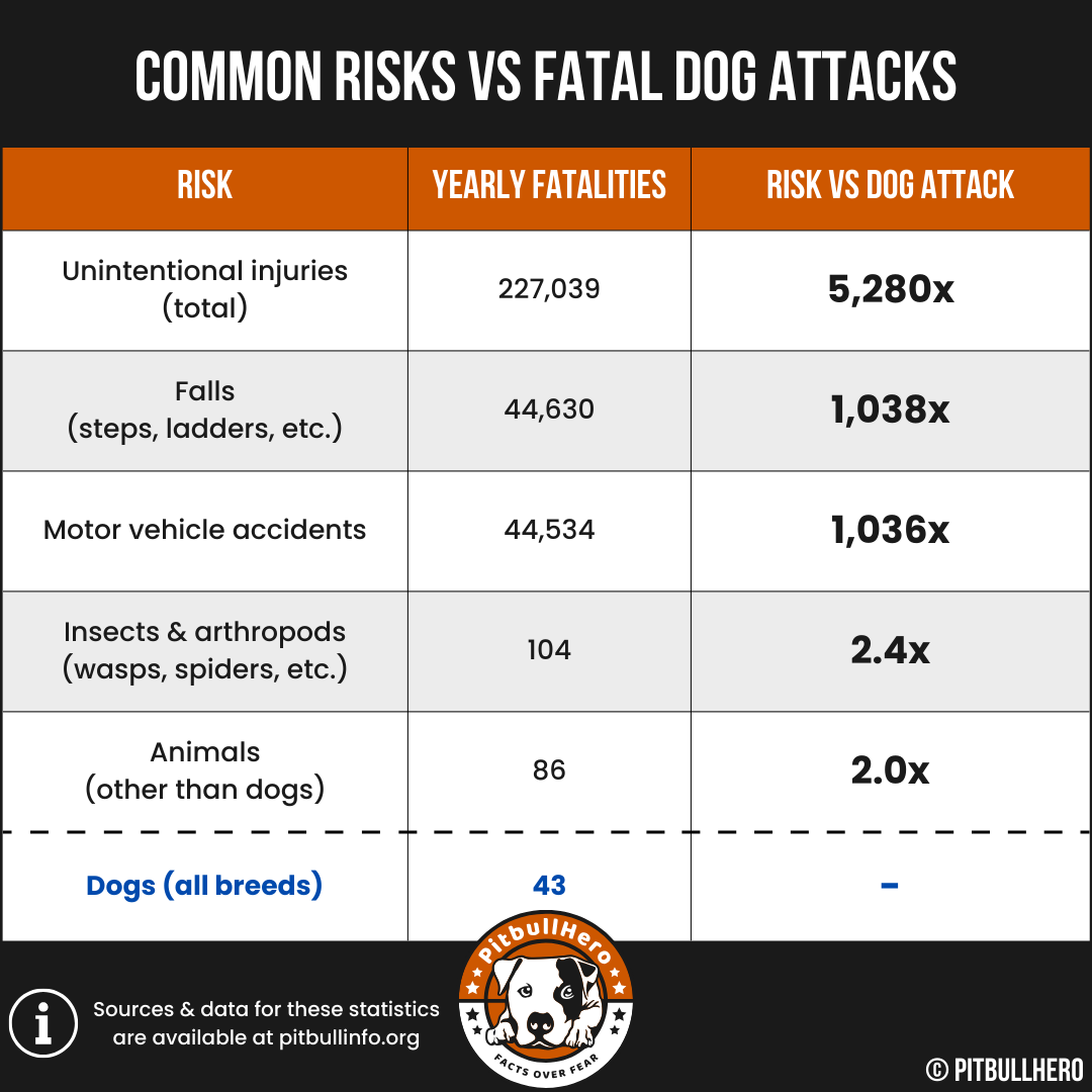 common risks vs fatal dog attacks chart