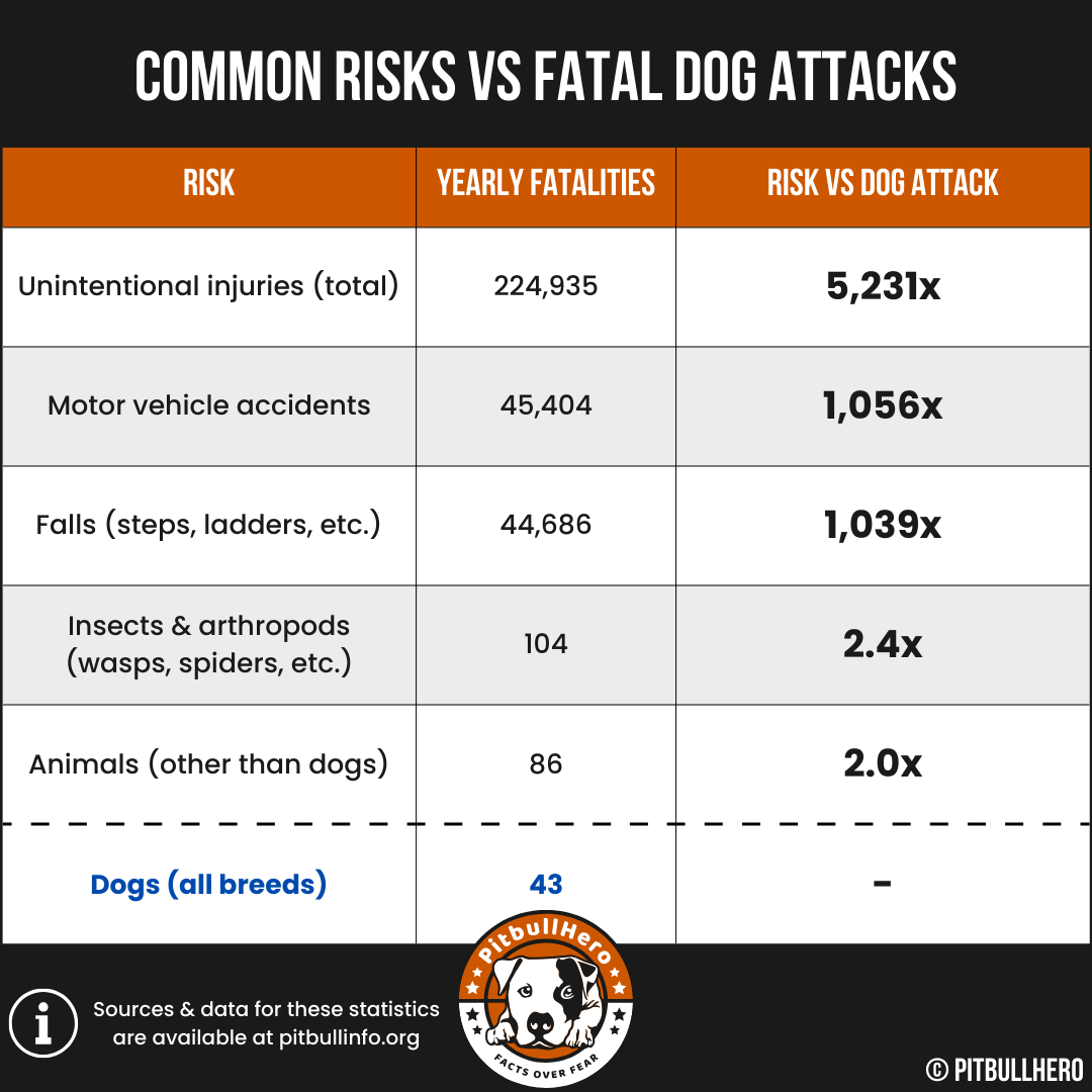 common risks vs fatal dog attacks chart