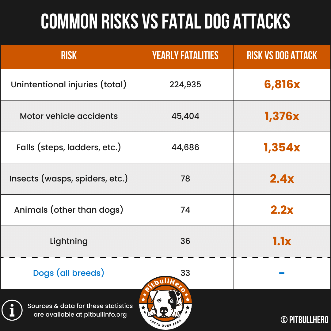 common risks vs fatal dog attacks chart