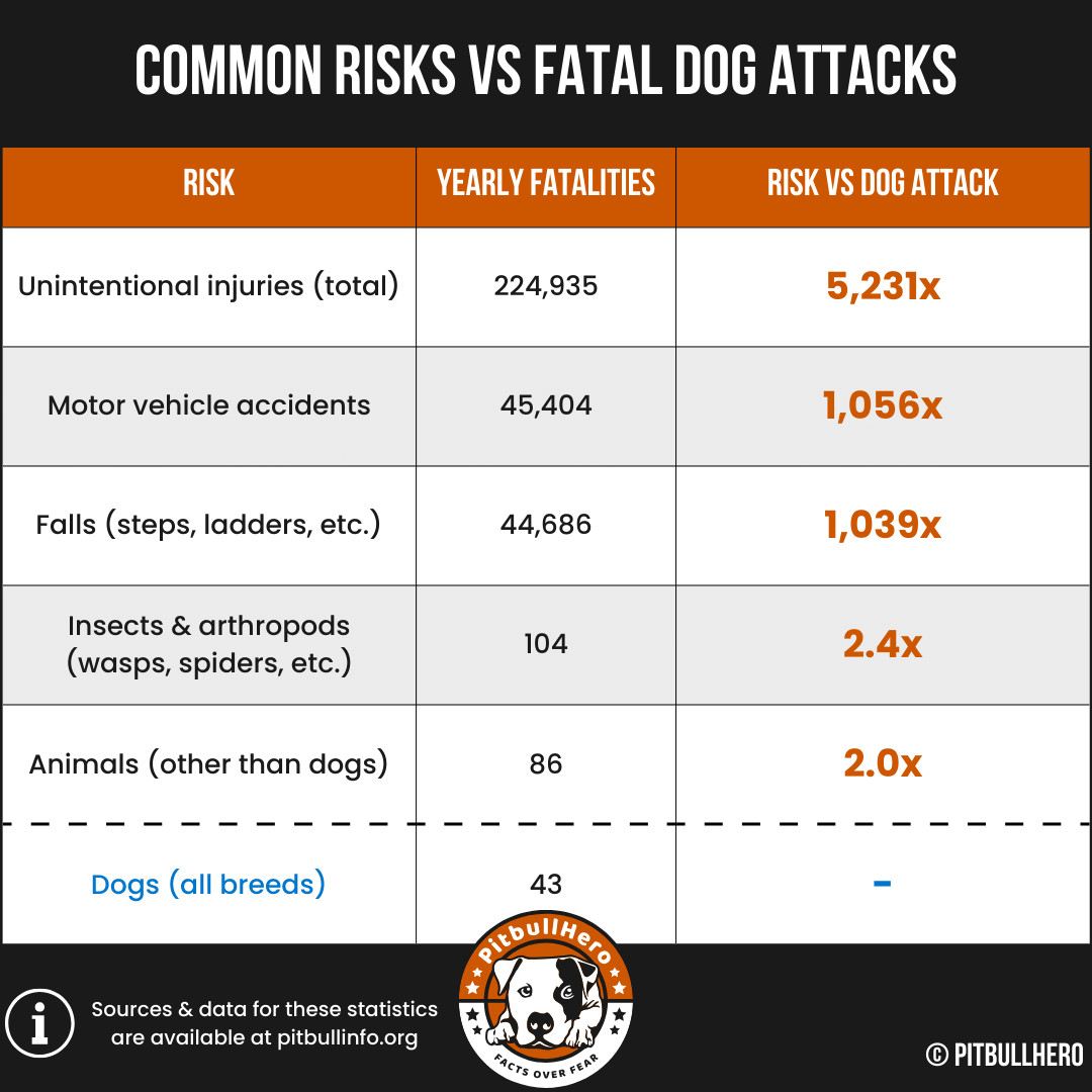 common risks vs fatal dog attacks chart