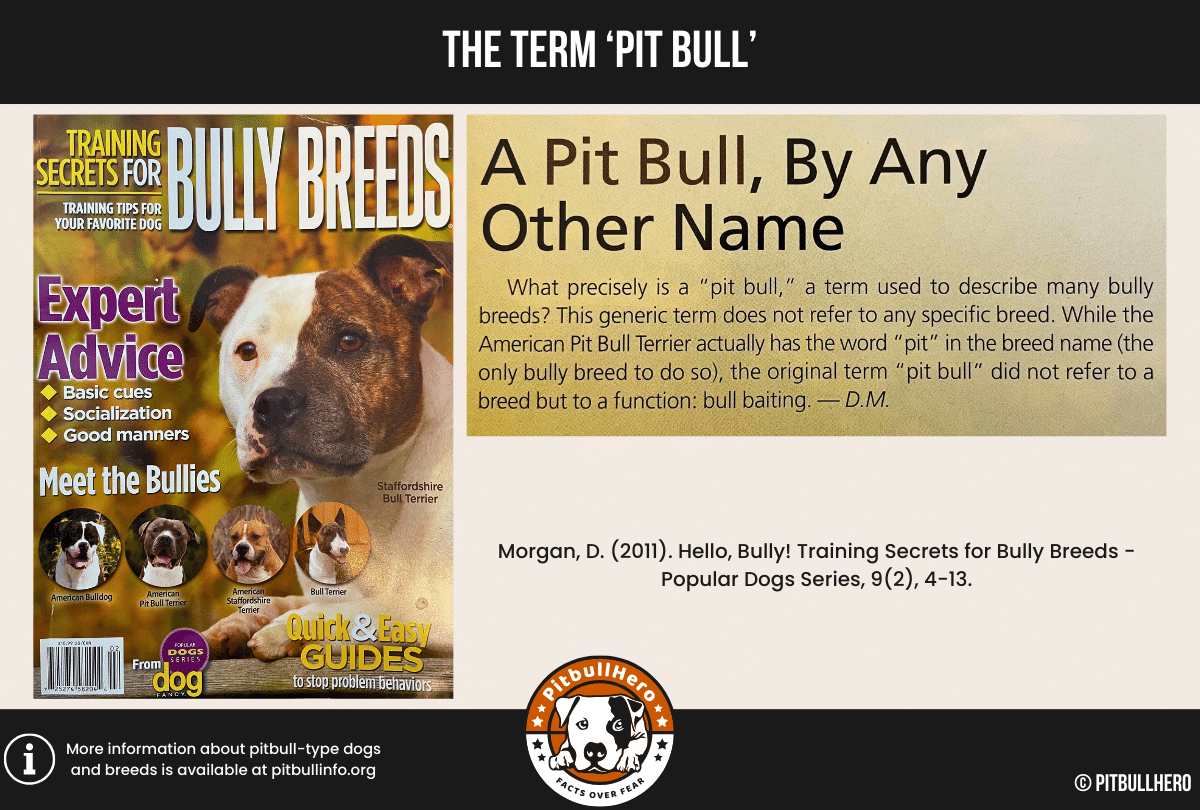 'pit bull' term