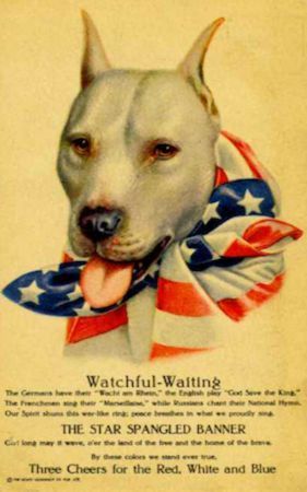 image of a World War 1 poster with an American Pit Bull Terrier