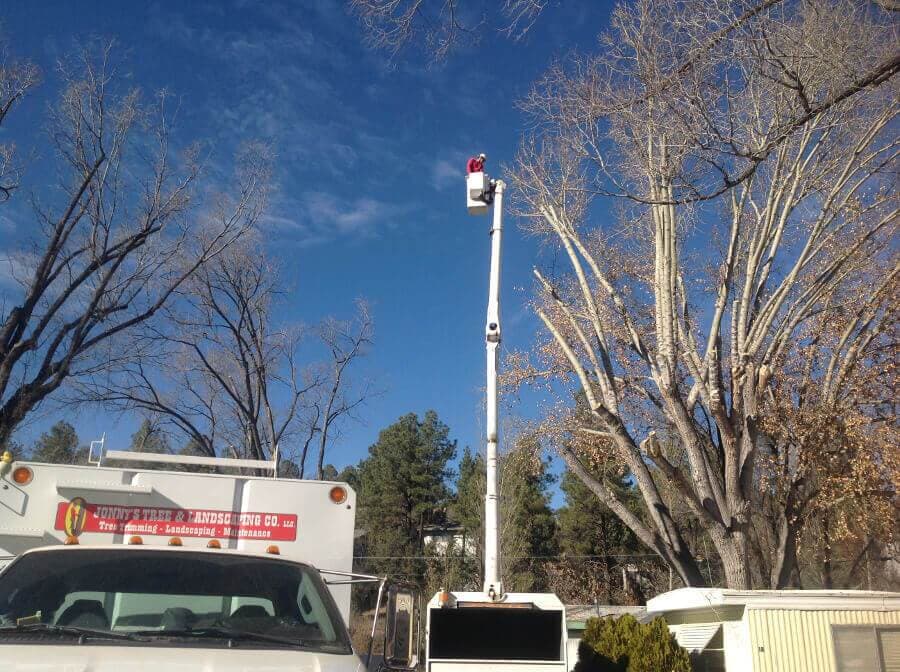Man In A Lift — Prescott, AZ — Jonny's Tree & Landscaping Co., LLC