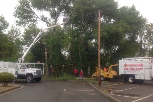 Men Cleaning The Area — Prescott, AZ — Jonny's Tree & Landscaping Co., LLC
