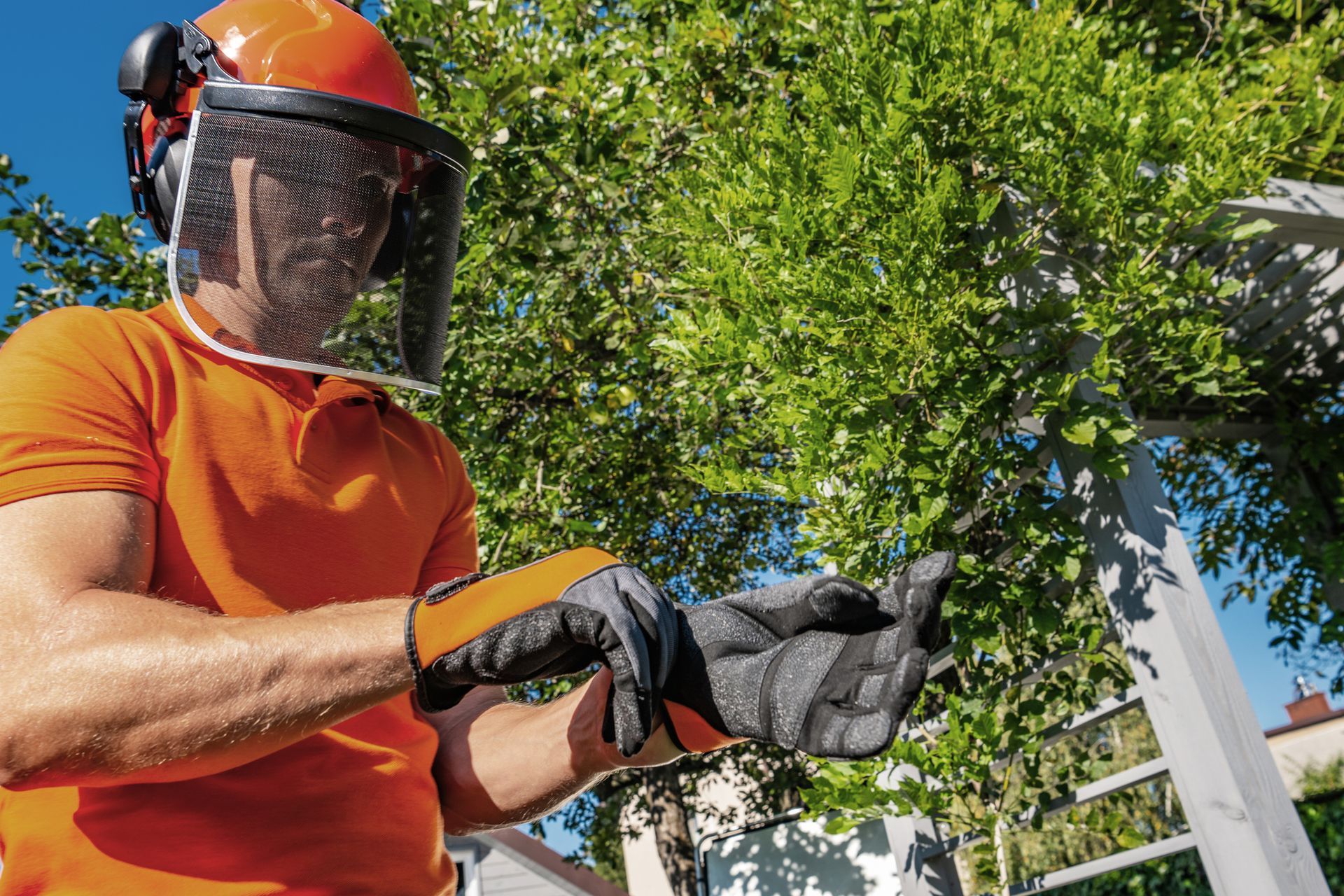 Arborist wearing safety gear putting on gloves before starting a tree trimming service.