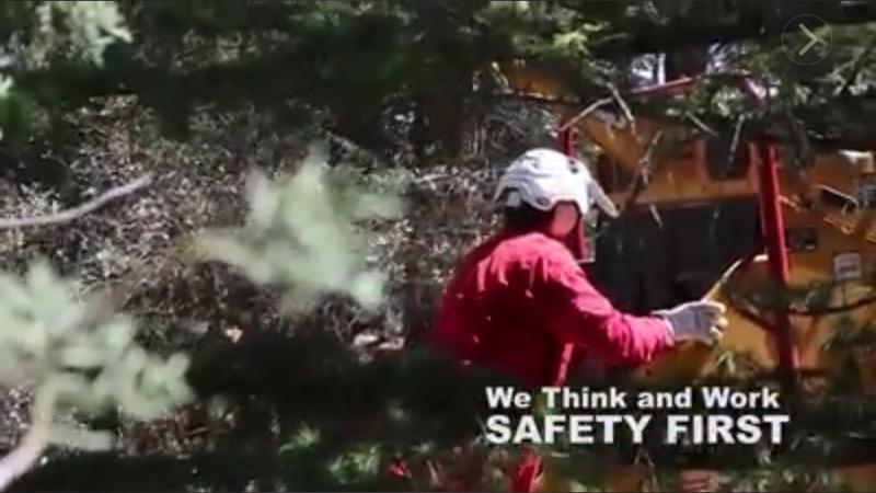 Safety First Cutting — Prescott, AZ — Jonny's Tree & Landscaping Co., LLC