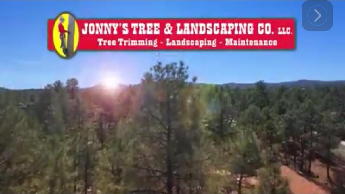 Tree Pruning — Prescott, AZ — Jonny's Tree & Landscaping Co., LLC