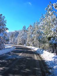 Snowy road winds through snow-covered trees under a bright blue sky.