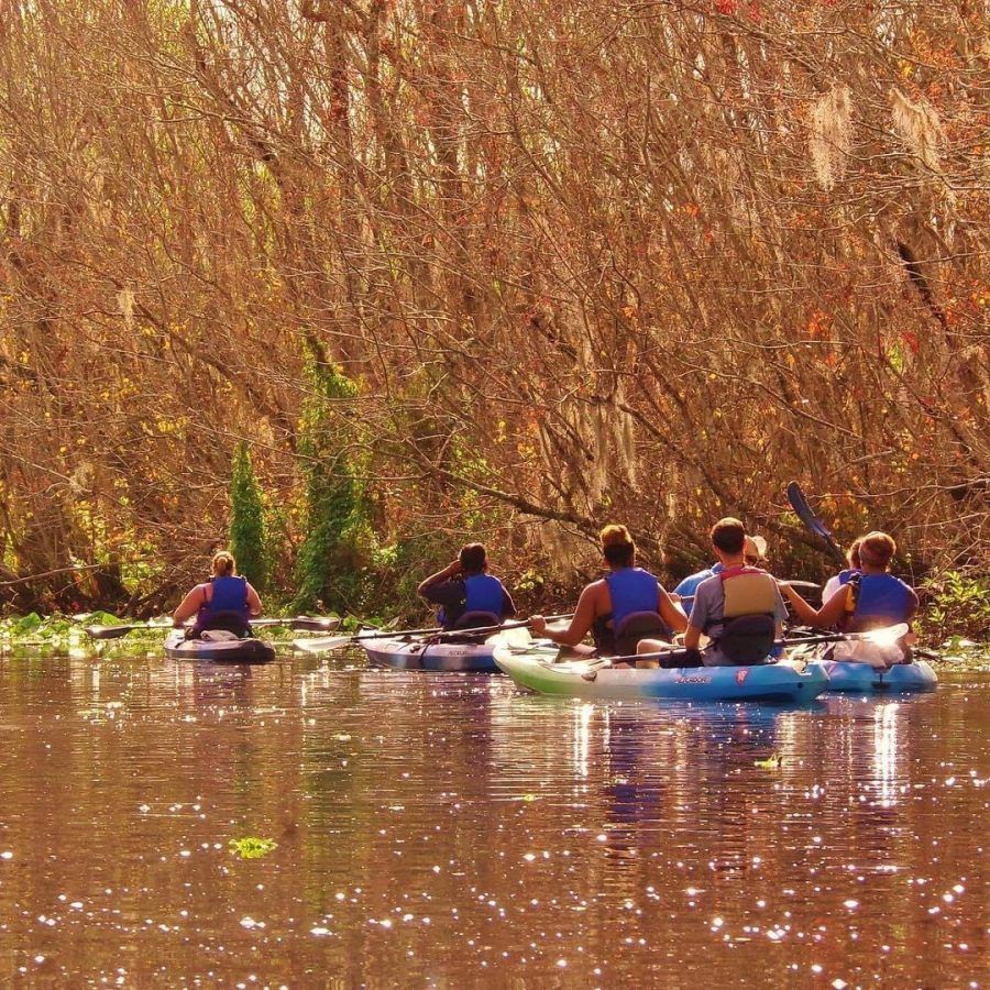 Kayakers paddling on a brown river, with a forest background.