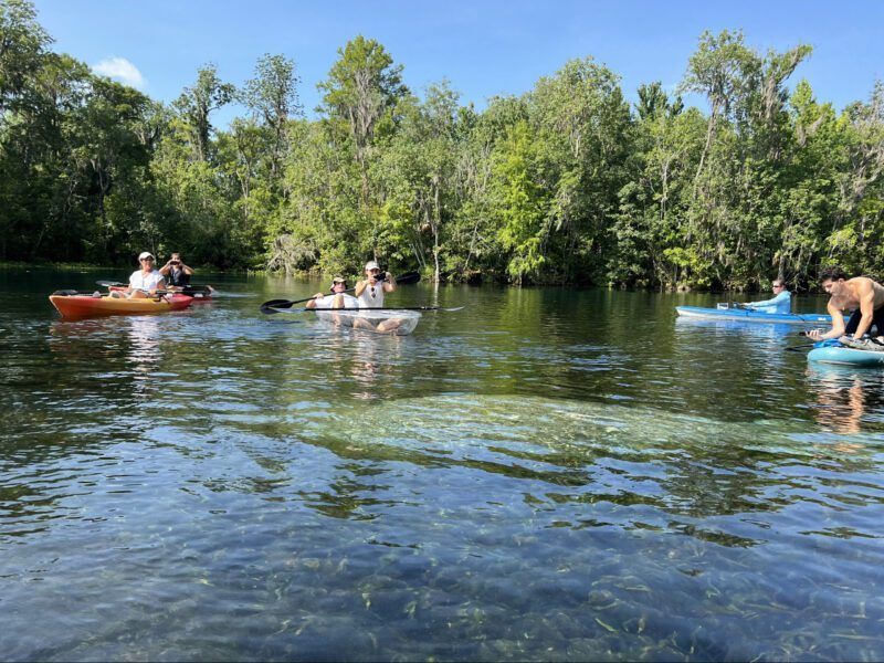 People kayaking and paddleboarding in a clear blue river, surrounded by trees under a sunny sky.