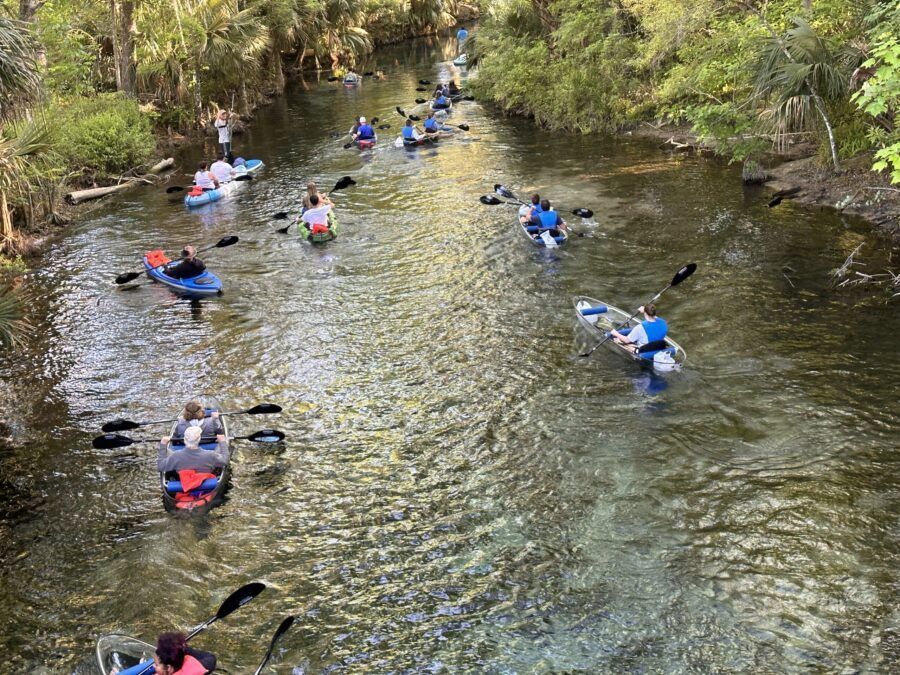 Kayakers on a clear, shallow river, surrounded by trees.