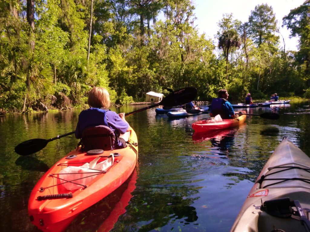 Kayakers on a river surrounded by lush green trees, paddling in sunlight.