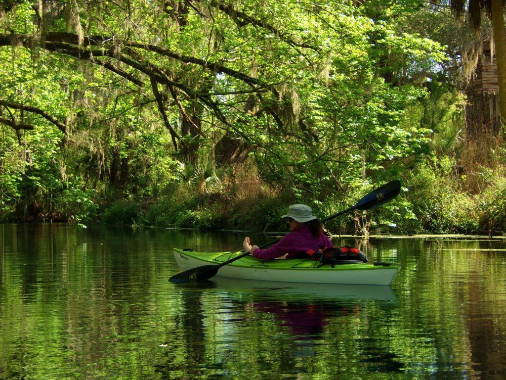 Person kayaking on a calm river under lush, green trees; sunny day.