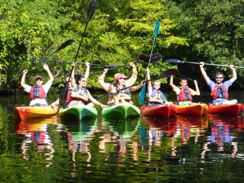 Kayakers on calm water raise paddles, reflecting green trees.