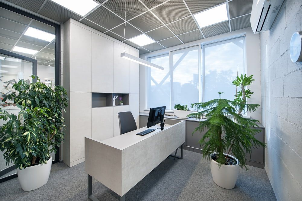 A Modern Office With a Desk, Chair, Computer and Potted Plants — Gray Projects in Woodford, QLD