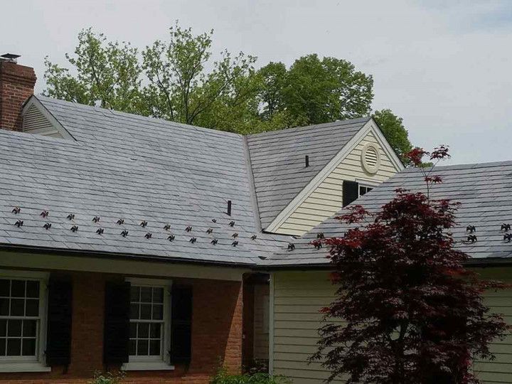 Woman in straw hat smiles, holding wine glass near a lake.