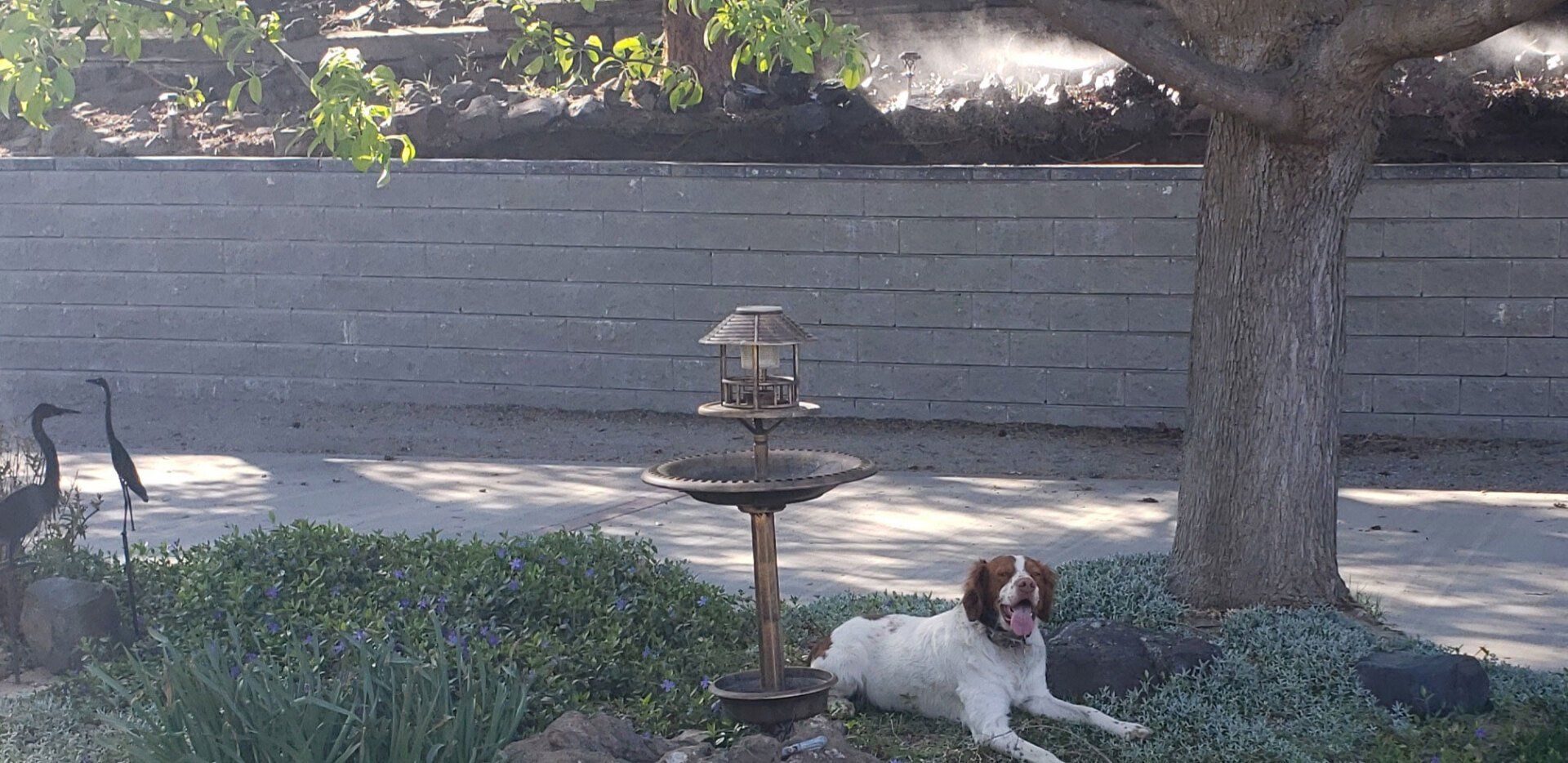 Beautiful Retaining Walls — Clarkston, WA — Acey's Landscape Services