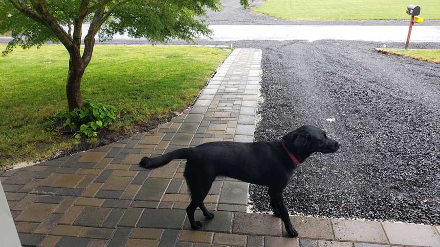 Brick Paver Walkway — Clarkston, WA — Acey's Landscape Services