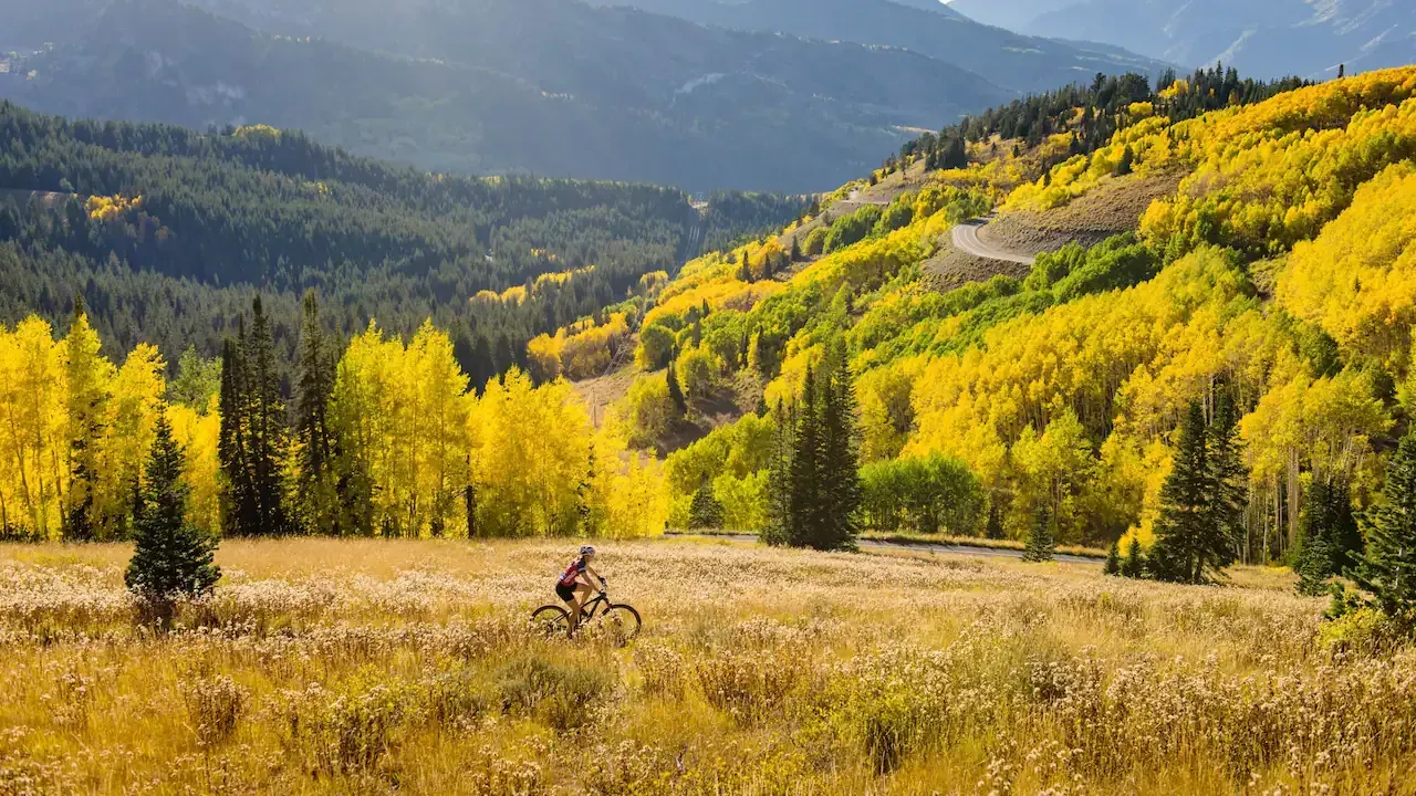 Hyatt Regency Salt Lake City mountain view bicyclist