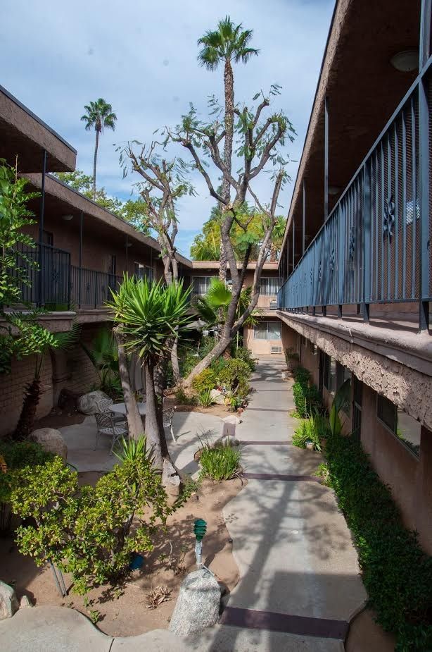 Courtyard of apartments with palm trees, walkways, and balconies.
