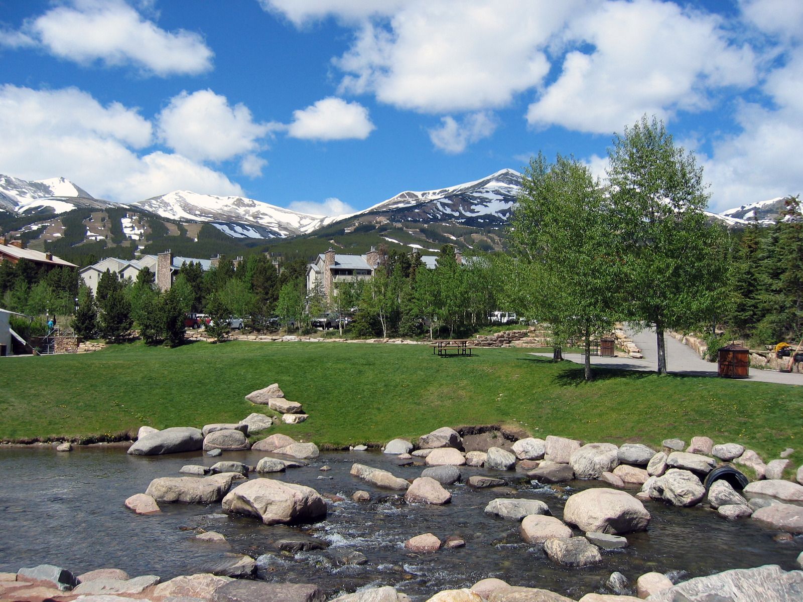 A river running through a park with mountains in the background