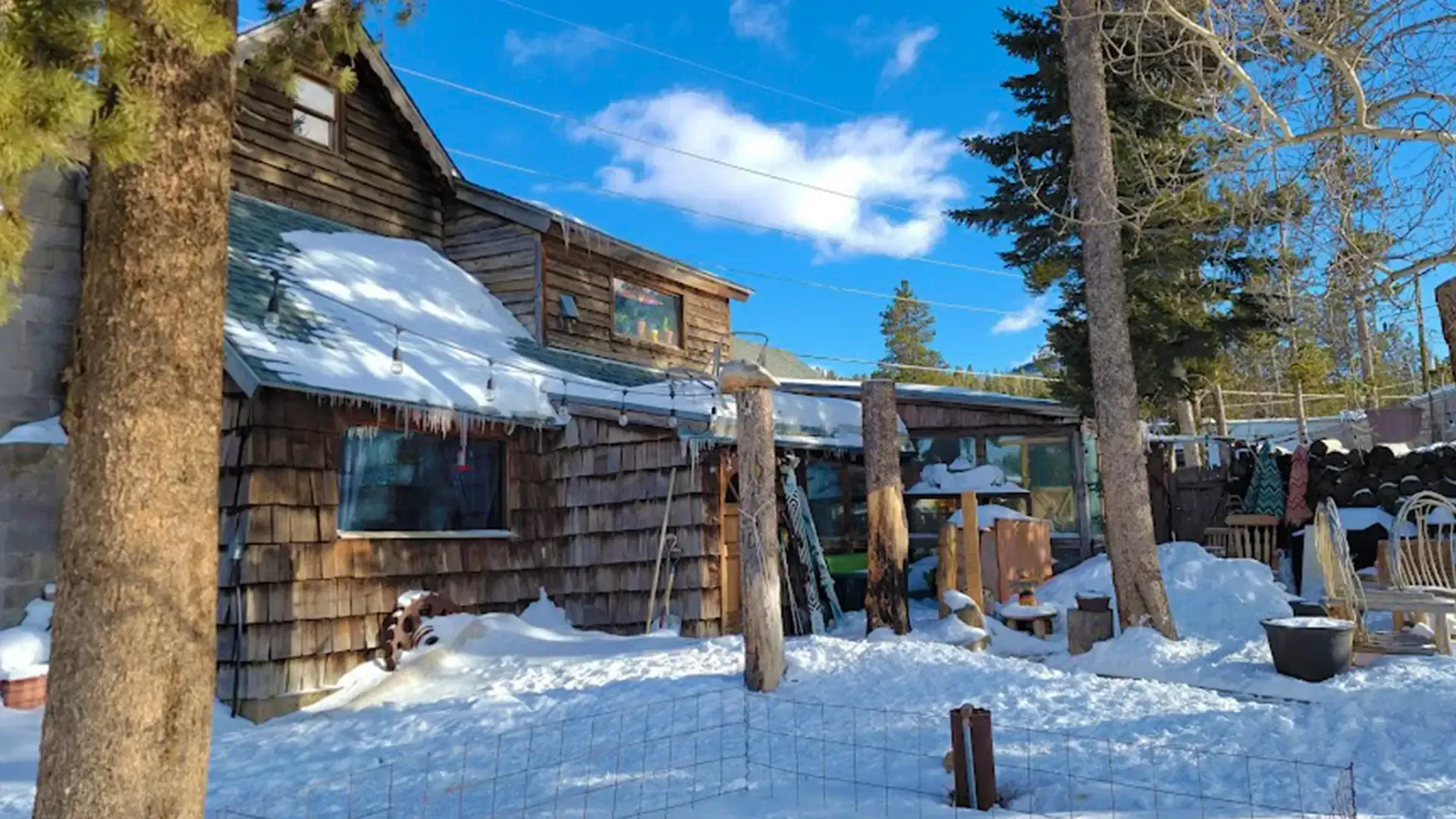 A wooden house is surrounded by snow and trees on a sunny day.