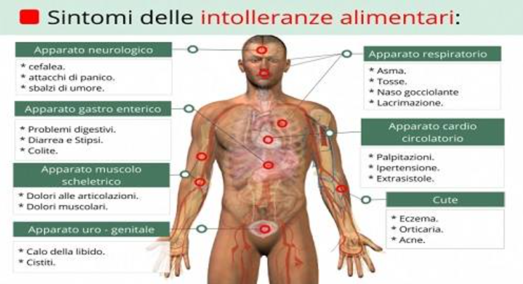 Diagramma che illustra i sintomi delle intolleranze alimentari a carico di diversi apparati dell'organismo, tra cui quello neurologico, digerente e cutaneo.