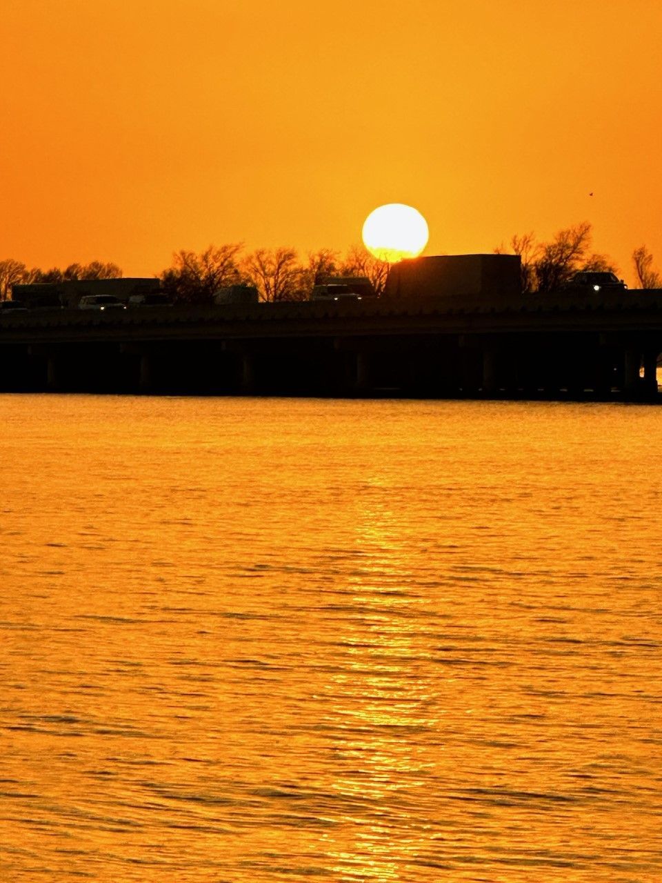 Wave Express Boat Rentals