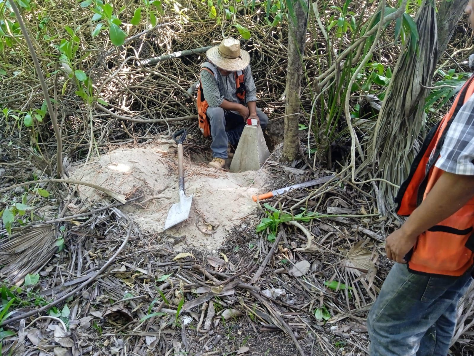 Un hombre está arrodillado en el bosque con una pala.